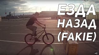 Step by Step #5: Как ехать назад, фэйки (How to fakie MTB/BMX)