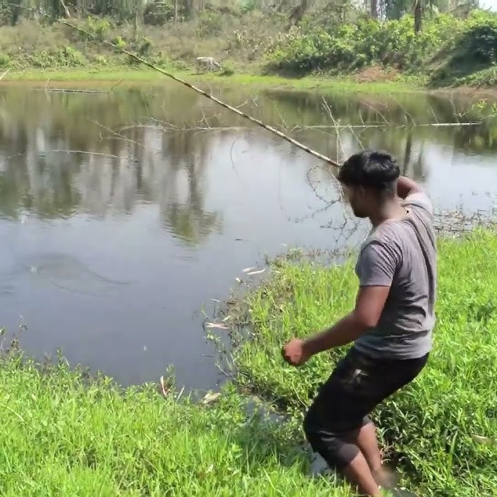 Amazing Unique Hook Fishing Videos By Catching Single Fish #shorts #fishing