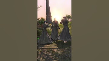 Sorry, not sorry #ff14 #ffxiv #ff14memes #gaming #justazemthings ##emetselch #finalfantasyxiv #lmao