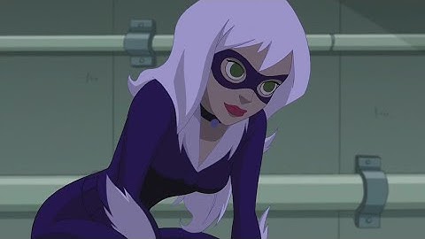 The Spectacular Spider-Man | All Black Cat Scenes