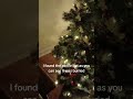 The pickle ornament game from Christmas 2025.