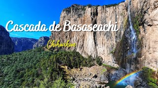 La cascada más grande de México 🇲🇽👏 | Cascada Basaseachi 💧🌲 | Chihuahua