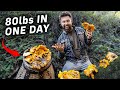 Mushroom Hunting Catch and Cook (80lbs Found!)