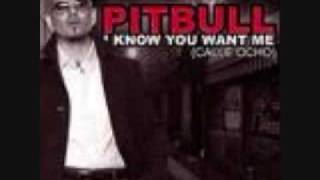 PitBull-Iknow you want me (Calle Ocho) lyrics