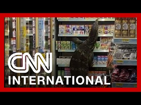 Giant monitor lizard freaks out shoppers in Thailand