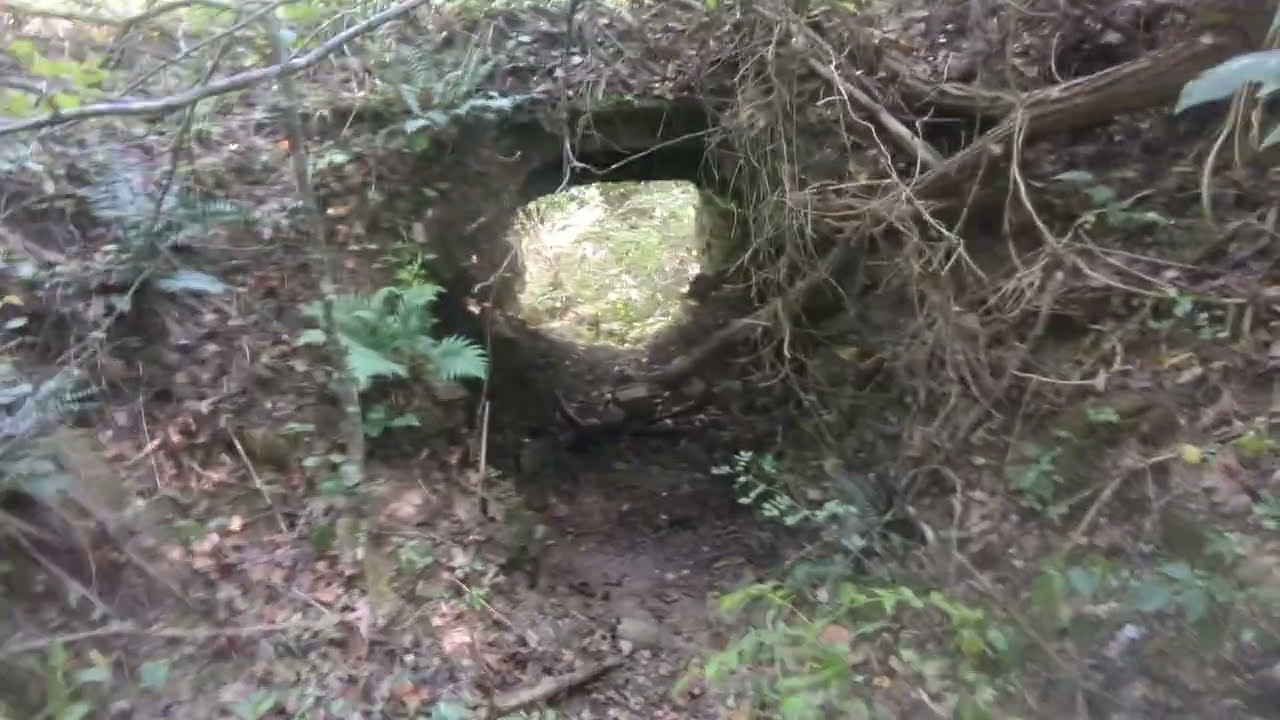 Hiking the south side trail Thurmond WV 