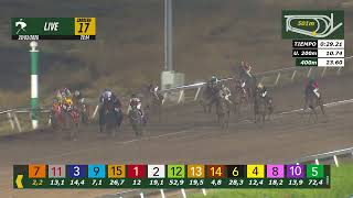 Vidéo de la course PMU ES CLASIFICADO H.
