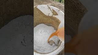 Wie Wird Der Baumanstrich Angerührt?