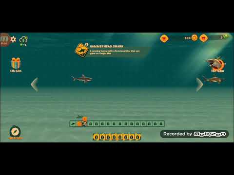 Cách hack vô hạn kim cương , vàng trong hungry shark và video đầu tiên của tôi | Thủ thuật cuộc sống 1 hqdefault