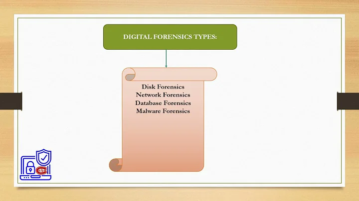 5 Digital Forensic Types