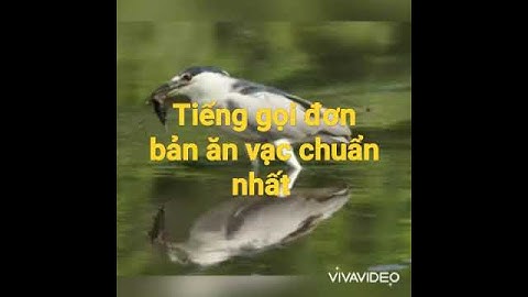 tiếng vạc gọi kéo đàn xa ae thick LH 0336006031