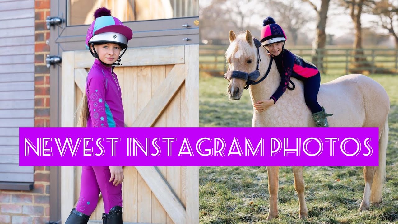 harlow-and-popcorn-newest-instagram-photos-road-to-4-6k-viral-horses