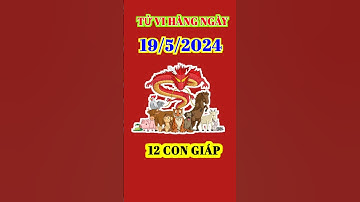 Tử Vi Hàng Ngày 19/5/2024 của 12 Con Giáp #tuvihangngay
