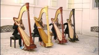 Pop harps - Cosmic Love by Florence   the Machine - harp cover
