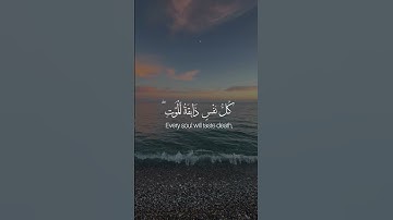 سورة العنكبوت - الآية 55-58 | همسات الإيمان  #whispersoffaithchannel #همسات_الإيمان #quran #قرآن