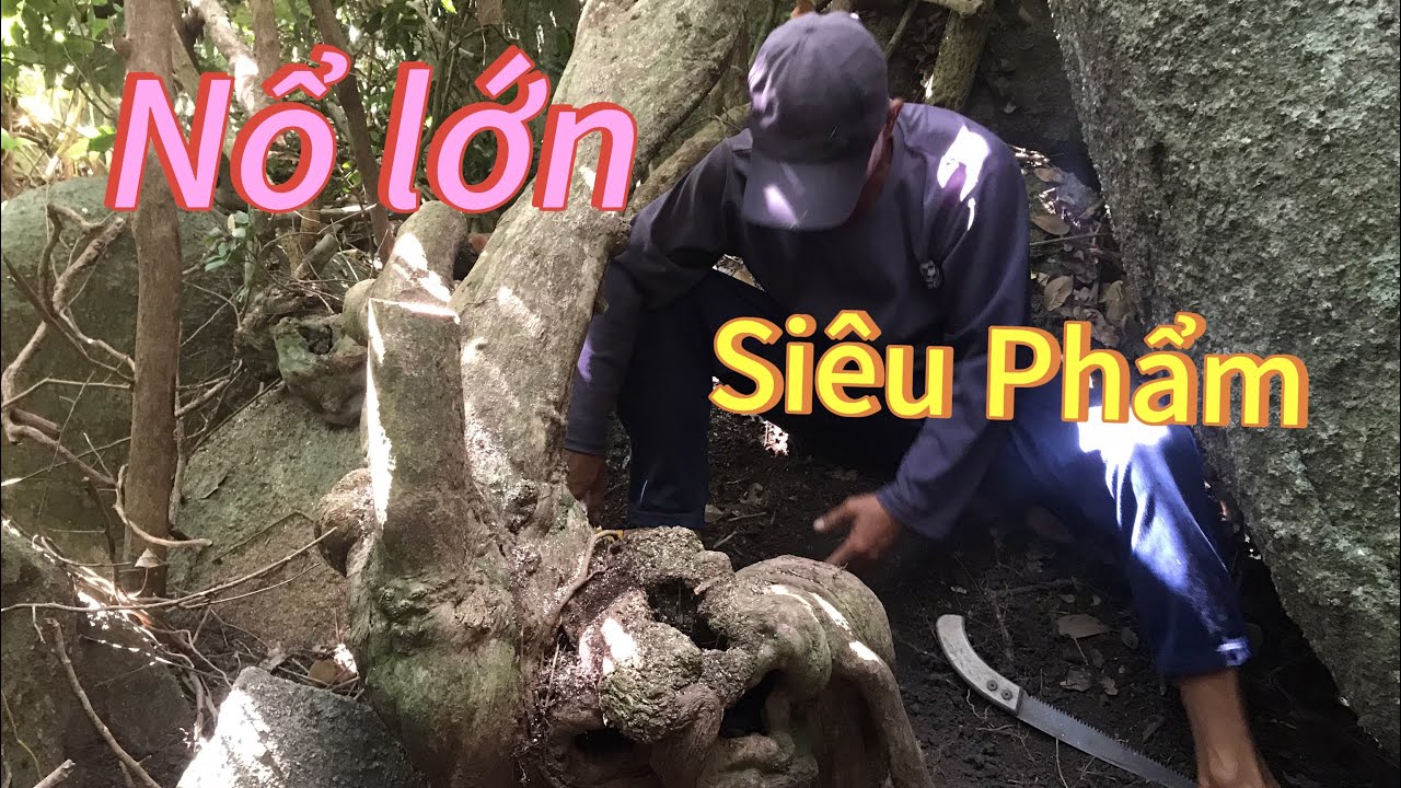 Nate Jackson Vượt gành rước siêu phẩm chòi mòi nu cục , quá đỉnh