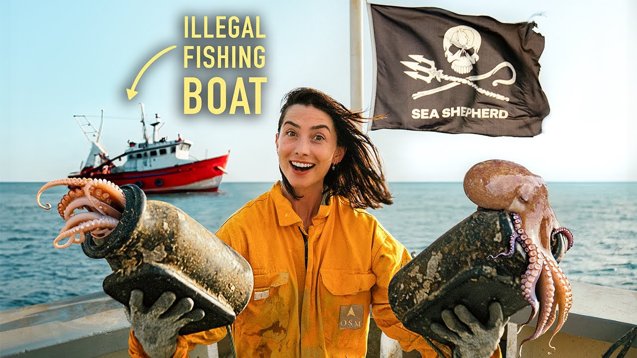 72 hours aboard a Sea Shepherd Boat (can she do it?!) + Full Boat Tour