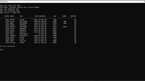 Oracle 19C SELECT QUERY FOR FINDING  NAME STARTS WITH VOWELS AND ENDS WITH CONSONANTS IN SQL #oracle
