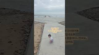 #마시안해변 #조개구이 #인천 #미혼모엄마 #구독요청#구독자늘리기