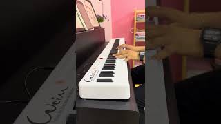 Địa Ngục Trần Gian - Phạm Kỳ - Test Đàn Piano Gấp Woim P-116 88 Phím Cảm Ứng Lực Có Bluetooth Midi