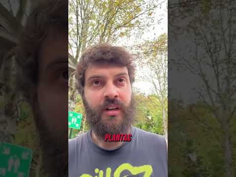 não era uma galinha ok