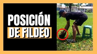 👉 Posición de FILDEO en Béisbol (13 Ejercicios para Perfección del Rolling)