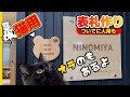 【DIY】猫の表札作りました！ついでに人のも作ってみた。