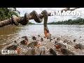 The Amazon’s Deadliest Predators: A Fight for Survival! | Nature Animal Documentary