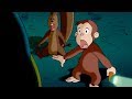 Curious George 1 Hour Compilation English Full Episode Cartoons For Children 
