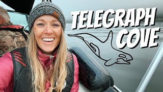 What to do in Telegraph Cove | Northern Vancouver Island | Ecotourism Canada