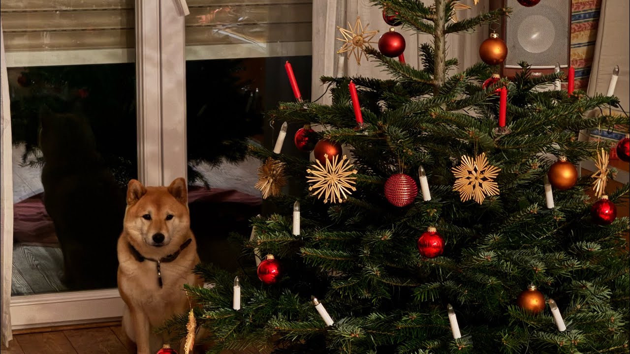 Pasando la navidad en Alemania 🇩🇪 