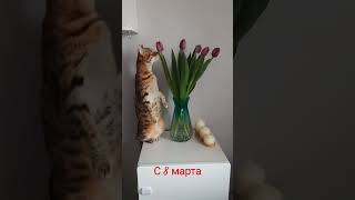 с 8 марта!