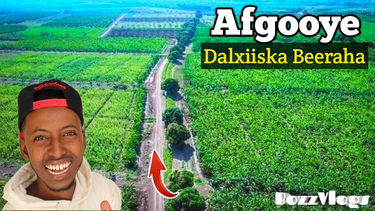 AFGOOYE VLOG Beeraha Ugu Quruxda badan Somalia▪BozzVlogs.