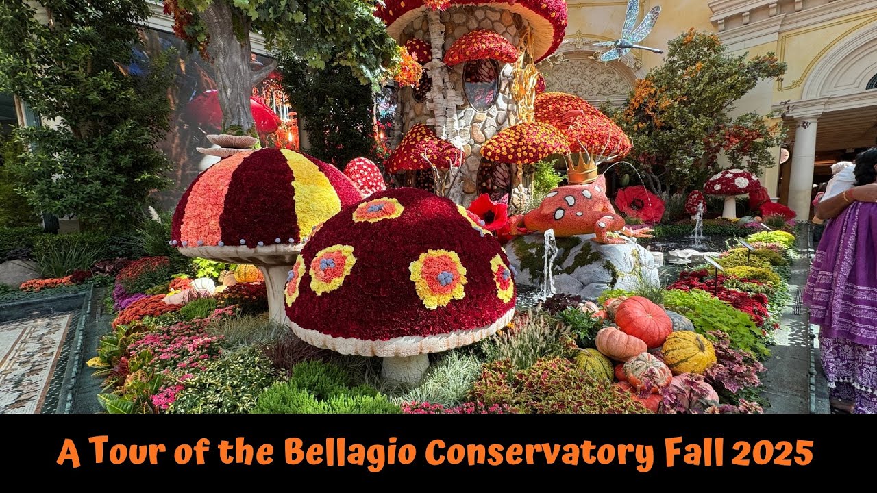 Bellagio Conservatory Fall 2025 Display Las Vegas