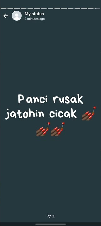 panci rusak jatohin cicak