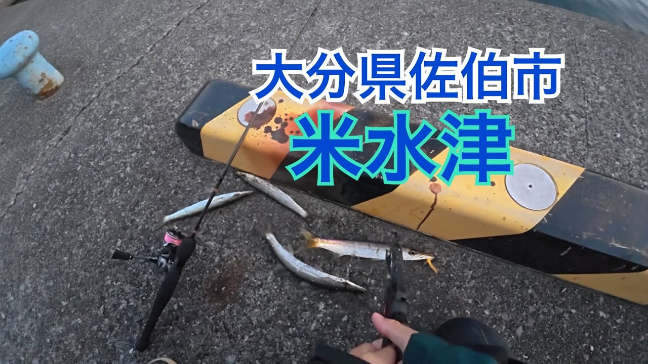 大分県佐伯市米水津 アジングのはずが、、、
