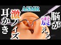 【ASMR】強烈刺激の爆音ノイズで脳が震える鼓膜耳かきの音♡ハムノイズ全開で神経もバグっちゃう♪ステンレス耳かき・爪楊枝・梵天・スケーラー・電導繊維タッチペンで他では聴けない特殊な癖の耳掃除【音好き】