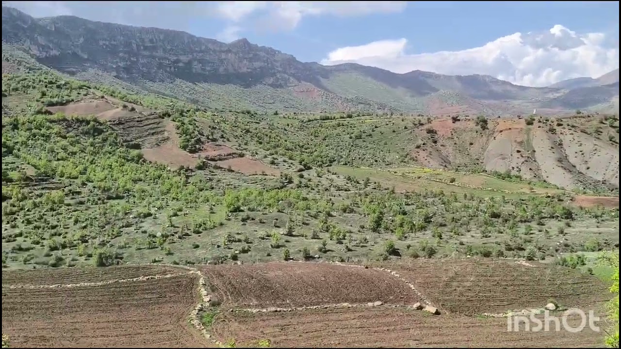 #siirt Eruh payamli köyü