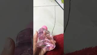 Download Lagu moris Moris Moris love MP3