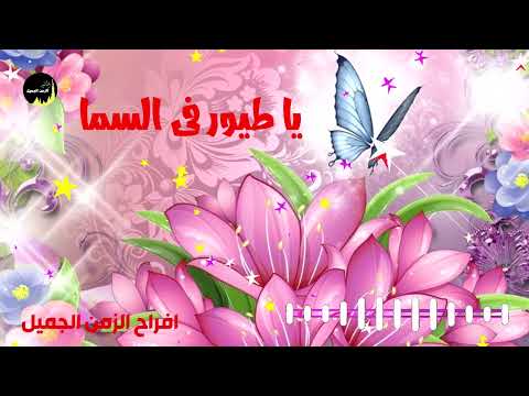 يا طيور فى السما