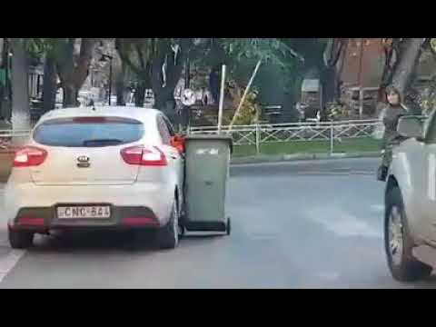 ვაკელი მეეზოვეების კრეატივი