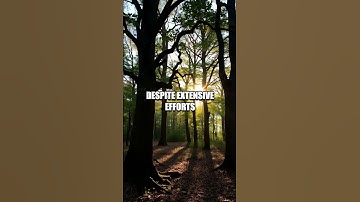 The Disappearance of the Beale Ciphers