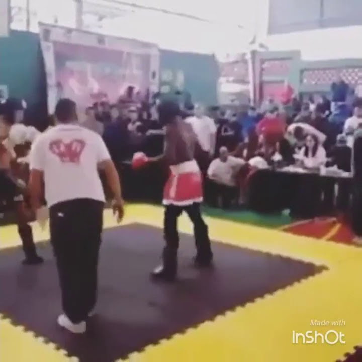усик лучшие нокауты