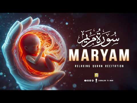 Harvesting Wild Roots in the Forest – Selling at the Market and Cooking for My Kids