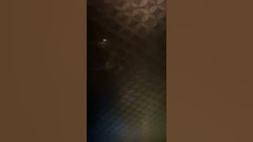 Joe and Mac 2 lost in the tropics attract demo mode music