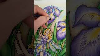 Kreslící video - Iris - Arrtx