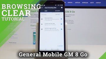 How to Erase Browser Data in GENERAL MOBILE GM 8 Go - Clear Browsing Information
