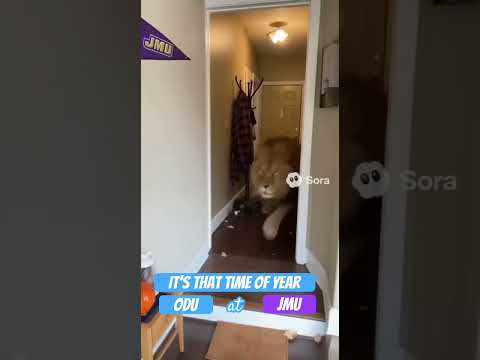 ODU At JMU Odu Jmu Ncaafootball Sunbelt