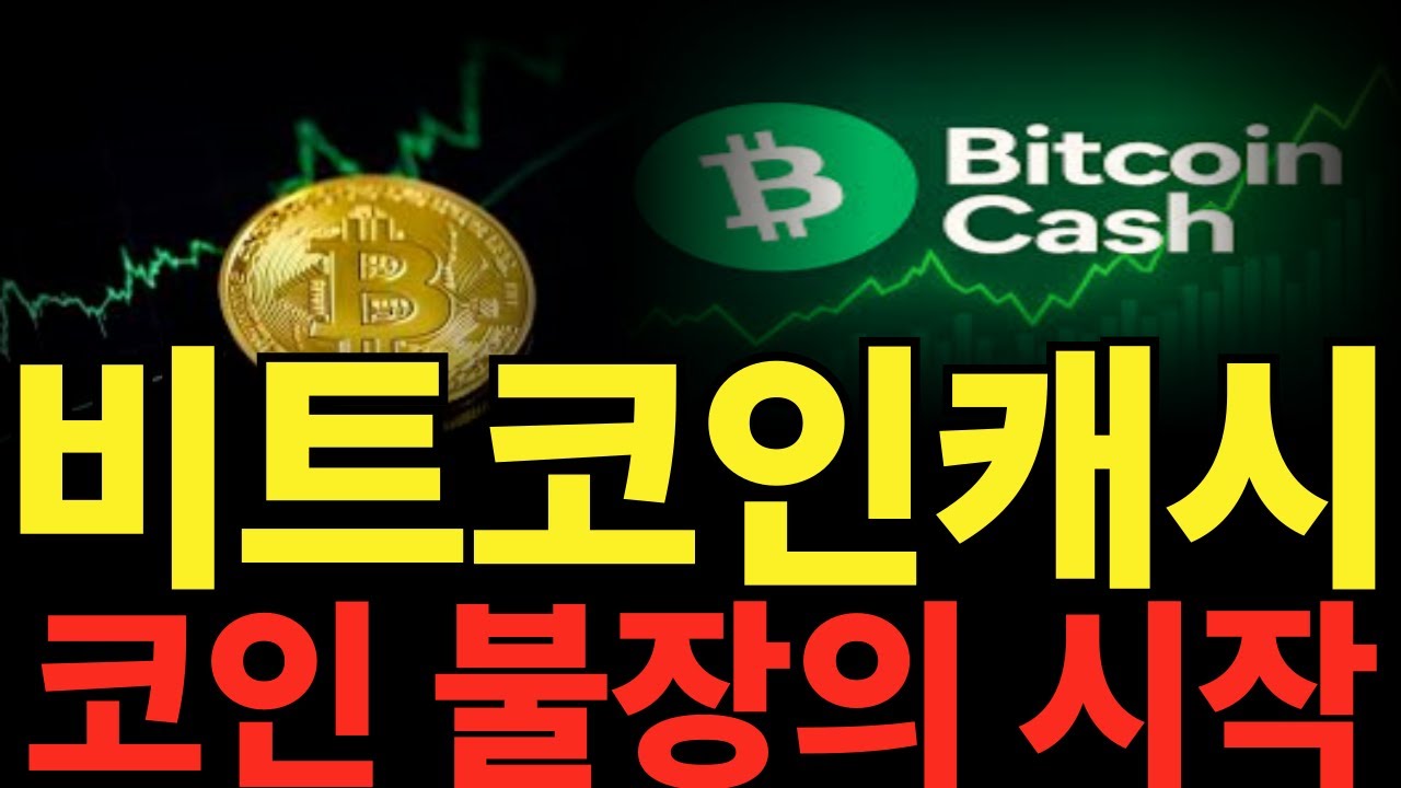 비트코인캐시] 코인 불장의 시작! 드디어 하락장 끝이다! #비트코인캐시 #비트코인캐시대응 #비트코인캐시목표가 #비트코인캐시호재 # 비트코인캐시코인 - YouTube