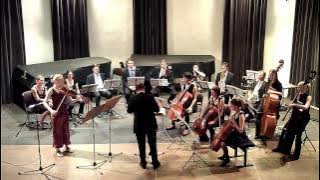 Christian Reimeir - 'Peri-Tales' - A fantasy for viola d'amore and chamber orchestra